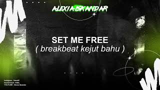 Download lagu SET ME FREE ( Breakbeat Kejut Bahu ) EDIT mp3