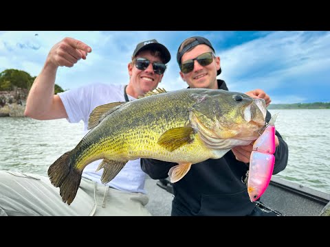 KUNSTAAS CHALLENGE OP DE GROOTSTE BAARS SOORT VAN EUROPA!