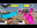 Eagle Vs Bird Paper Plane Paper Plane How To Make Paper Plane Mad Times