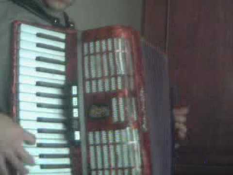 Taraf borzo song on accordion