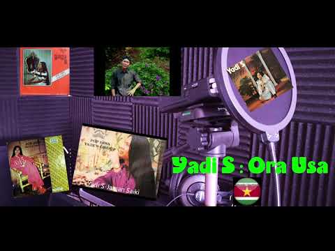 Yadi S. :  Ora Usa
