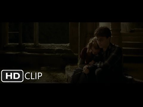 ハリーとハーマイオニーのひととき｜ハリー・ポッターと半純血のプリンス (Harry and Hermione Share a Moment | Harry Potter and the Half-Blood Prince)