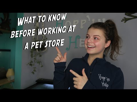 Pet shop assistant