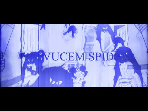 dusi x mlvden-vucem spid
