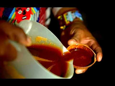 Shimshai & Susana - Icaro Mariri