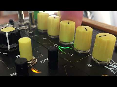 ENVgen Looping Envelope Generator ADSR Eurorack NoisyFruitsLab