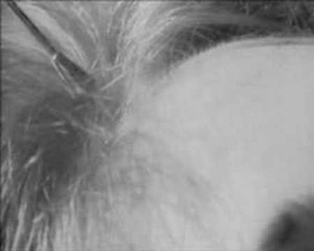 Spermadonarz music video Ufo