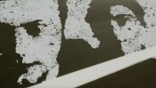 Les Mots Music Video