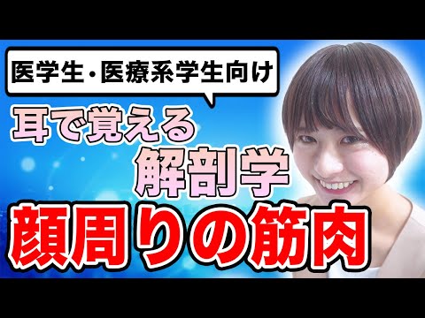 医学科 【解剖学】覚えにくい解剖学の顔周囲の筋肉について