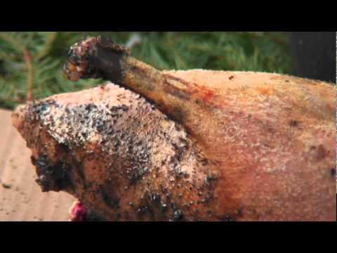 Goosebreak - Mistissini