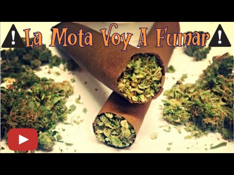 La Mota Voy A Fumar 2 - Mc Buffalo (Video Oficial)