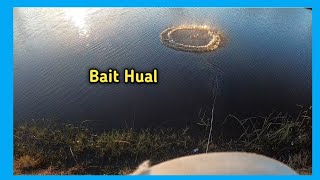 Catfish River Bait Hual