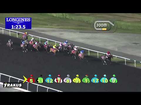 08.03.2014 Meydan (Dubai-UAE) 5.Race Burj Nahaar 2014 - Group III 1.600 m