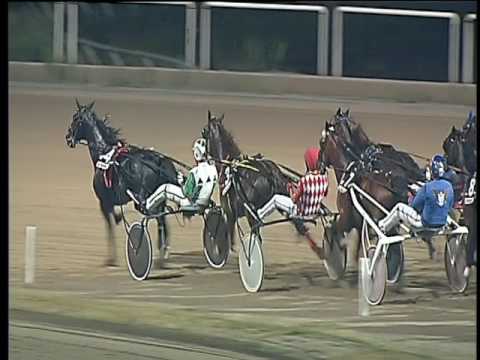 Trotto 24/06/2017 - 7ª corsa