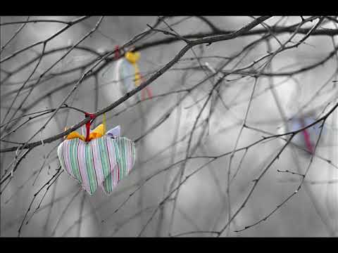 Hudba Praha   Divoký Srdce