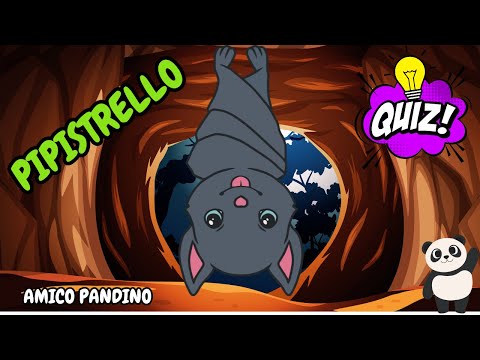 Animali per bambini - IL PIPISTRELLO - Impara gli animali con Pandino - mammiferi - ANIMALI NOTTURNI