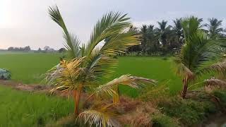  Agricultural Land for Sale in Orathanadu Mukthambalpuram, Thanjavur