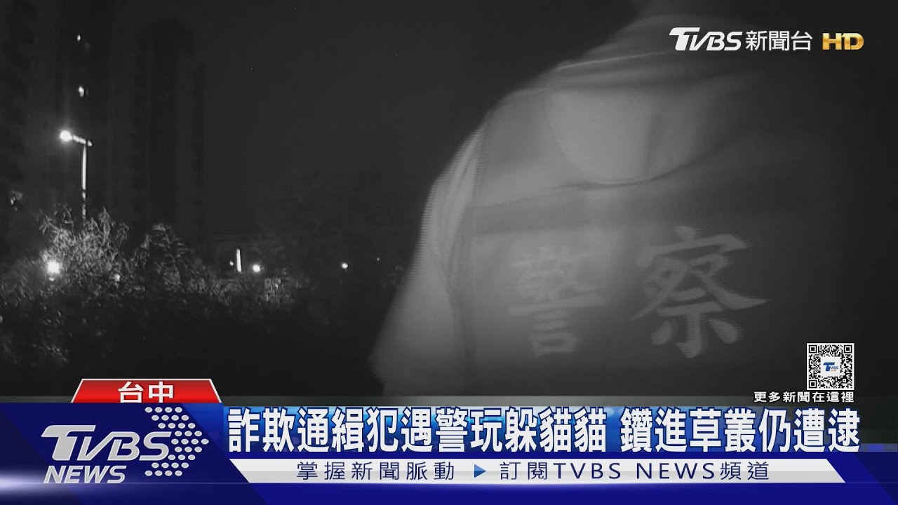 詐欺通緝犯遇警玩躲貓貓 鑽進草叢仍遭逮