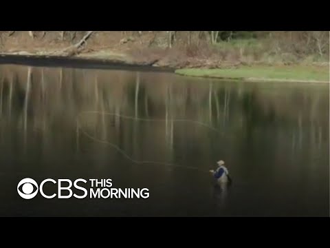 Fly fishing: What is it, and why is it so popular?