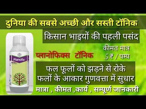 Planofix Bayer Planofix Tonic/ PGR Tonic/ Increasing Flower & Fruit