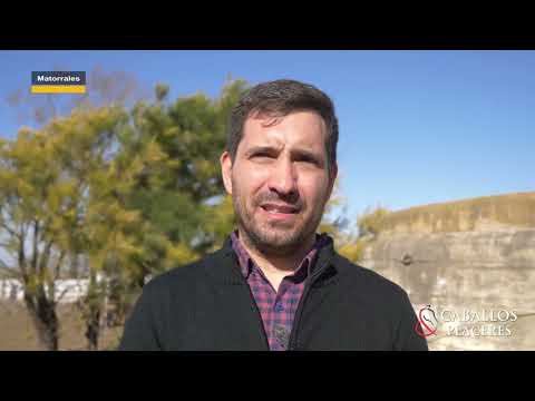 Segundo informa de carneada en Matorrales