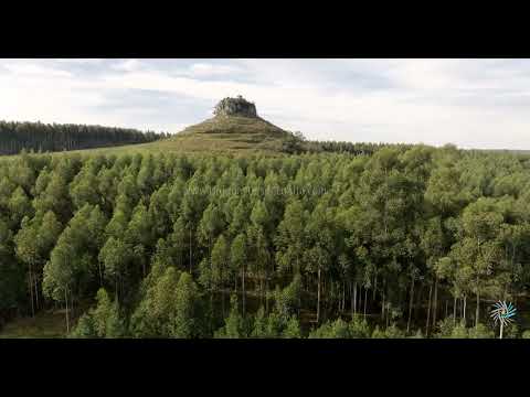 Video aéreo por el cerro Batoví dorado (2 de 4), ruta 37, Rivera M3 12856 70