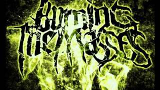 Burning the Masses-Deprived of Purity