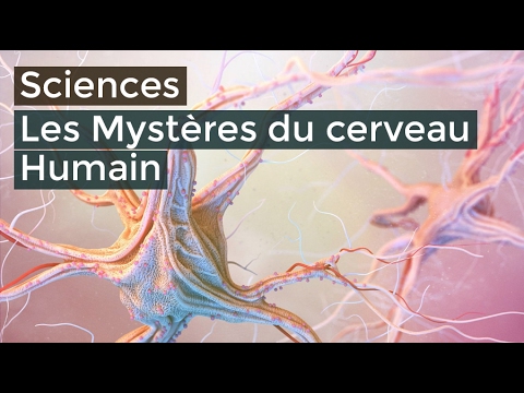 Les mystères du cerveau Humain - Documentaire français 2016 HD