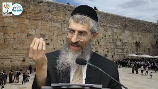 הרב יצחק יוסף(הנכד) - המשך הלכות תערובות והלכות בין המצרים  !!! (ארגון ענפים) - התמונה מוצגת ישירות מתוך אתר האינטרנט יוטיוב. זכויות היוצרים בתמונה שייכות ליוצרה. קישור קרדיט למקור התוכן נמצא בתוך דף הסרטון