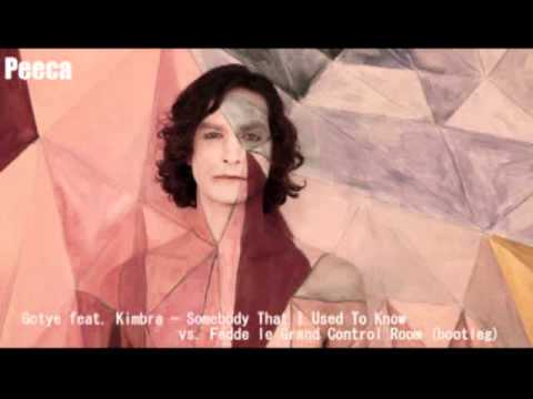 Gotye ft.Kimbra-Somebody That I Used To Know vs.Fedde le Grand Control Room(bootleg)Peeca