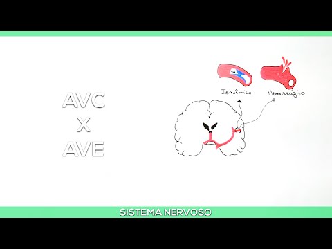 Acidentes Vasculares: AVC e AVE