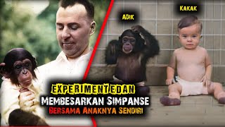 Eksperimen Manusia dan Simpanse Dibesarkan Layakny