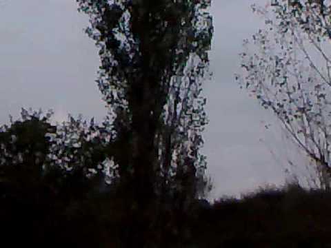 saga paolo michael sassomarconi