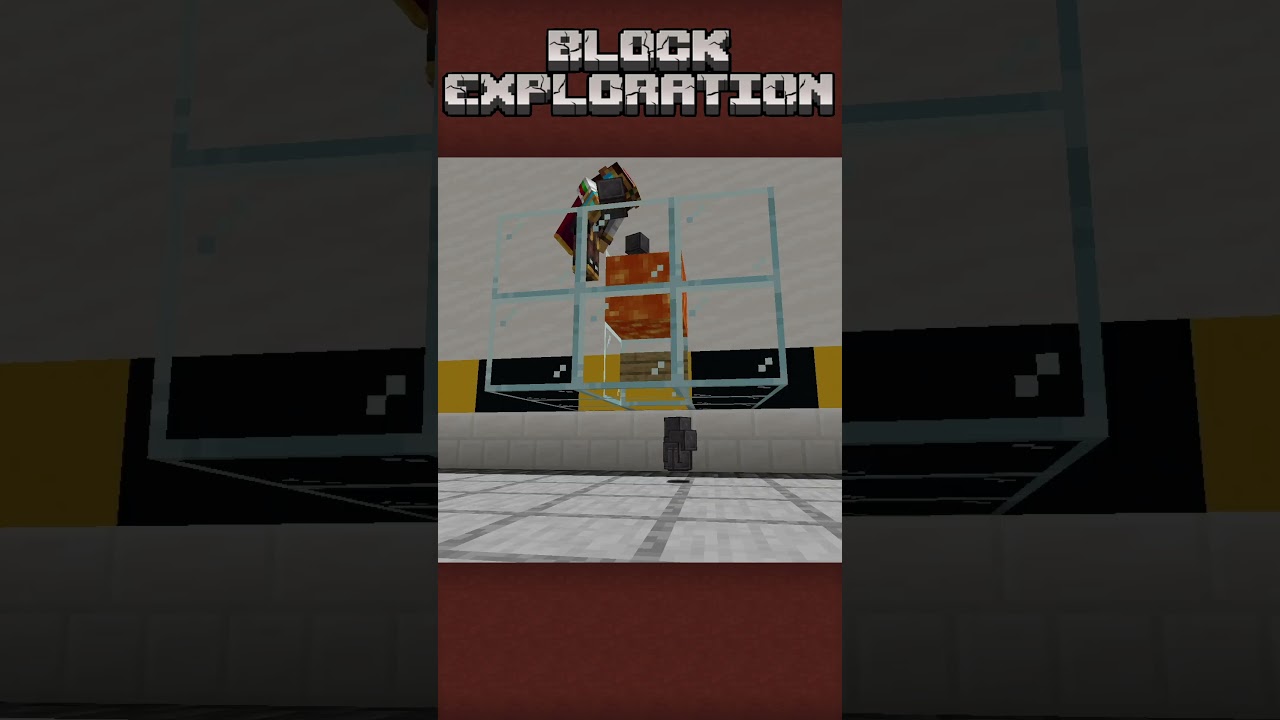 NETHERITE IS COOL (rare) #minecrafttutorial #minecraftwiki #blockexploration