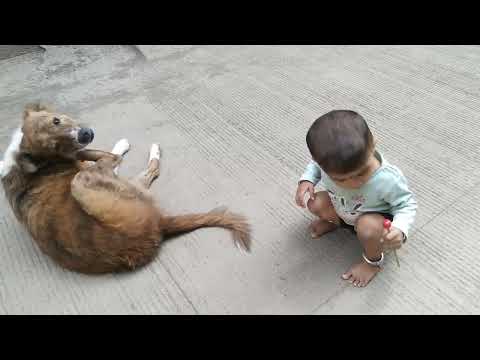 Mauli and dog#mauli #dog #