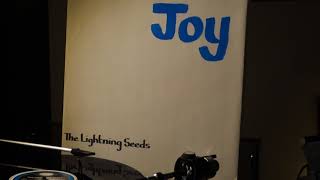 The Lightning Seeds - Joy (1989)