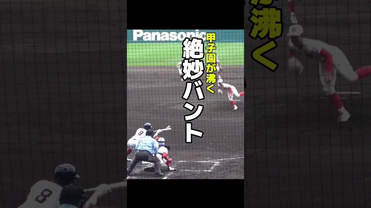 「うますぎる…」甲子園が沸いた絶妙バント！　大阪桐蔭vs智弁学園　選抜高校野球　甲子園　#高校野球 #甲子園