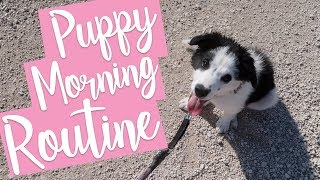 Puppy Morning Routine 🐶