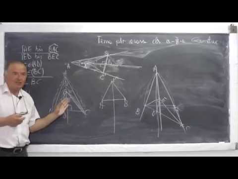 1/2 Lectia 509 - Rezolvam probleme de geometrie plana - Recapitulare pentru teza - Clasa 6