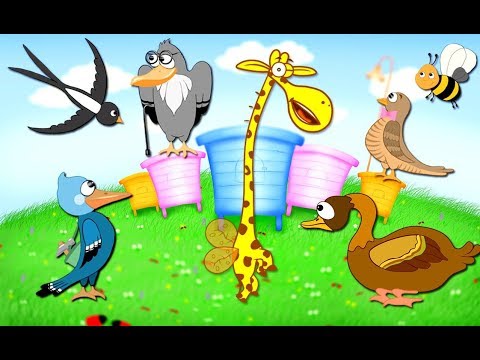 ჟირაფი ჟოზე - ფრინველები (სეზონი 1 | სერია 7)