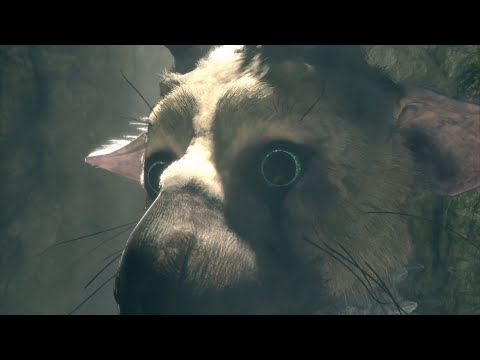 Zagrajmy w The Last Guardian