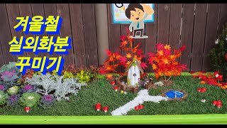겨울철 실외 화분에 심을식물들.. #식물튜브 #식외화분 #plant tube