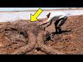 Shepherd Notices A Strange Lump In The Sand - Freaks Out When He Realizes What It Is