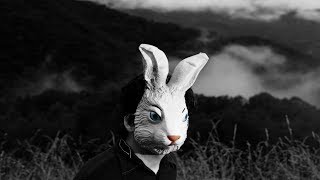 Sparklehorse - More Yellow birds (Live at La Cigale, Paris 2001)