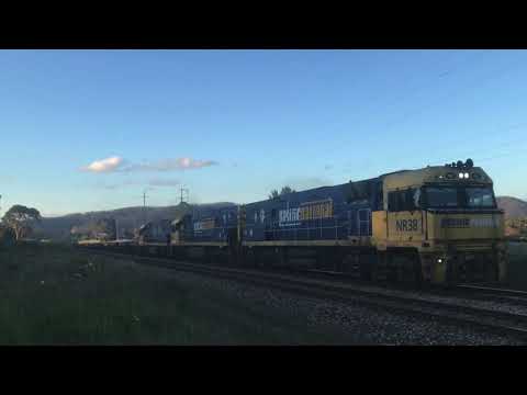 1YN2 Chase- NR38, NR19, NR121