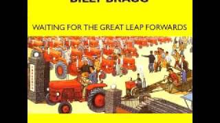 Billy Bragg - Waiting For The Great Leap Forwards