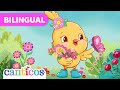 We Love Kiki Chickie Queremos A La Pollita Kiki Watch And See Why