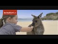 Barrhead Travel Win A Trip To Australia Barrhead Travel
