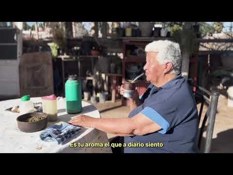 FL3 - Pasó El Tiempo Ft. Tercos, La Blunty | UN DÍA A LA VEZ