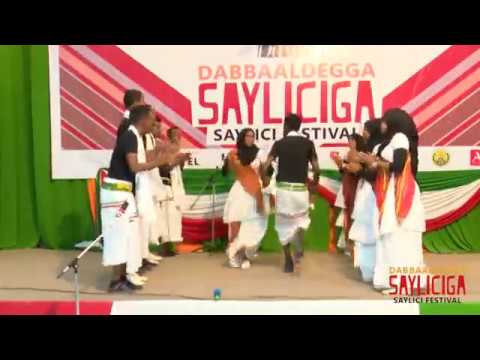 DABBAALDAGGA SAYLICIGA - CIYAARTA TODOBAAD.